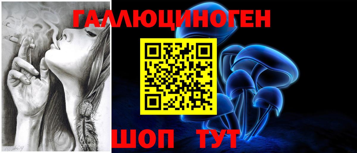 Псилоцибиновые грибы мухоморы  Вход с VPN  Горно-Алтайск 