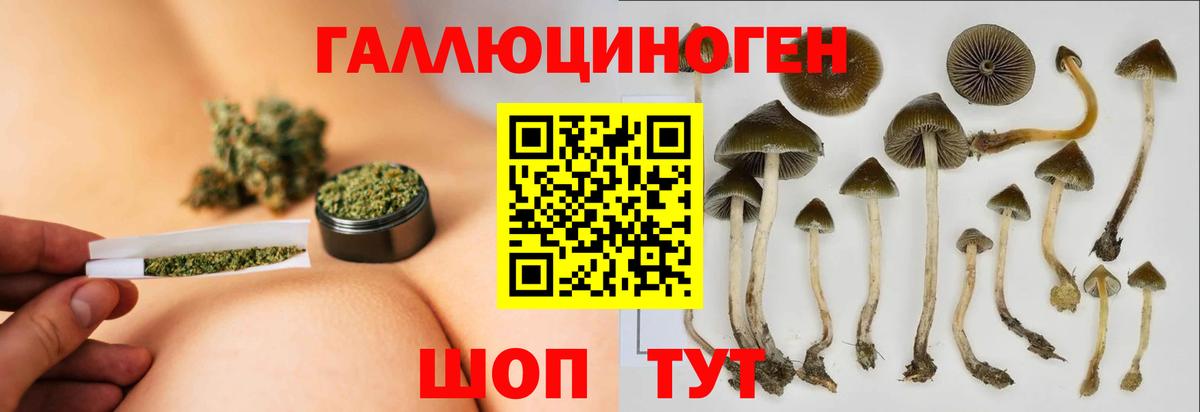 Галлюциногенные грибы мицелий Горно-Алтайск